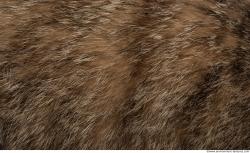 Fur